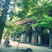 しろくま