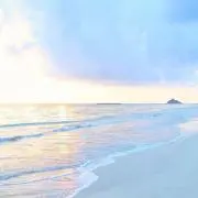 ぱんなこの画像