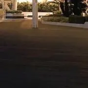 mameの画像
