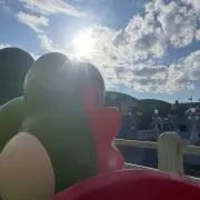20
