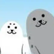 あざらしの画像