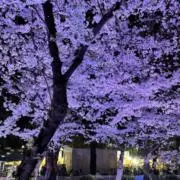 Yunの画像