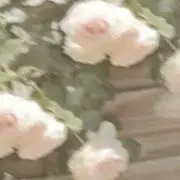 りんぬ。の画像
