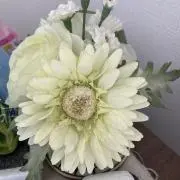 きなの画像