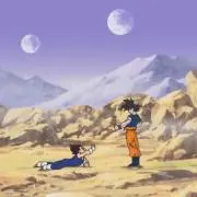 カボチャ