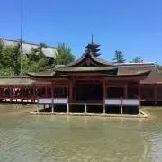 akkiyの画像