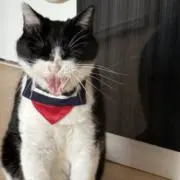 ごてつ3