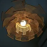 白樺の画像