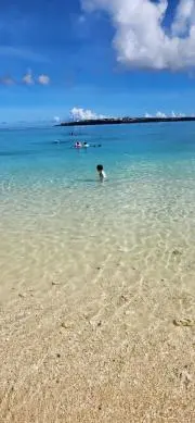 meina.0819の画像