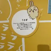 うさぎの画像