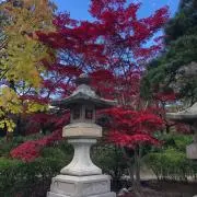 は