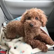 anの画像