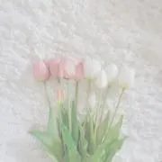mhtの画像