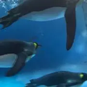 マギ★