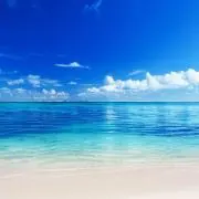 MARINの画像