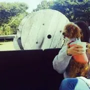Hiiiikoの画像