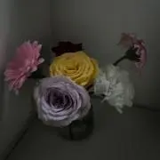 ‪✿の画像