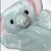 みちゃんの画像