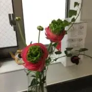 anの画像