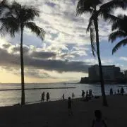 manoaの画像