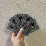 キャベツ。の画像