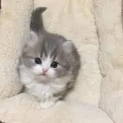 yuuの画像