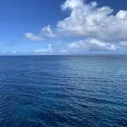 りんりんの画像