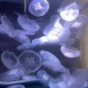 r.eの画像