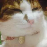 さらつも