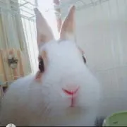 みさみさ