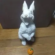 ヨッシーの画像