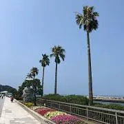 naboboの画像