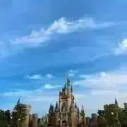 こここの画像