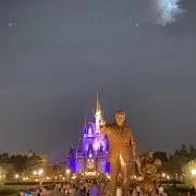ガクチンボウの画像