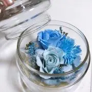 ☆rin☆
