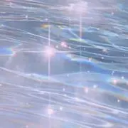 PiPiの画像