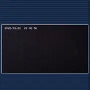 豆の画像