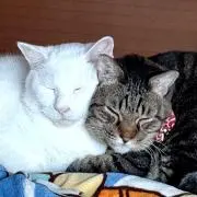 りく&こた