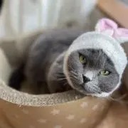 ほしみや⭐️即購入、大歓迎の画像