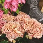 *mana*断捨離中＊＊の画像