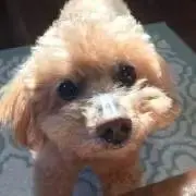 えりり♡の画像