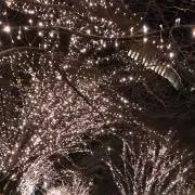 KAIの画像