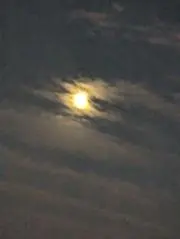 reoの画像