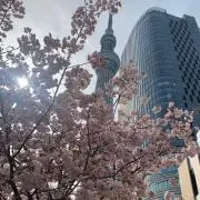 KEENの画像