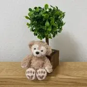 おとわの画像