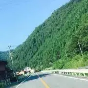 すみっコ