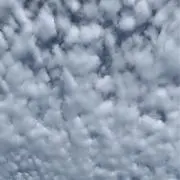 しょ丸