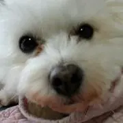 小篠の画像