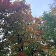 そらの画像