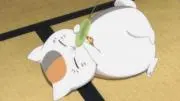 ばんぺいゆの画像